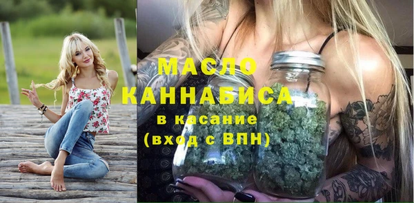 дмт Алексин