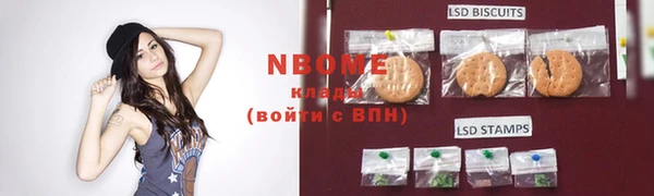 индика Армянск