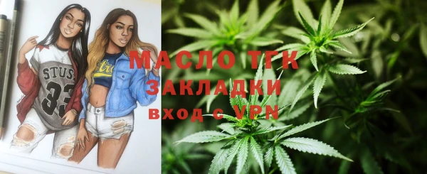 индика Армянск