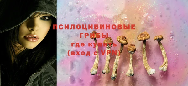 метадон Арсеньев