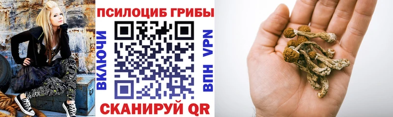 Псилоцибиновые грибы MAGIC MUSHROOMS Чернушка