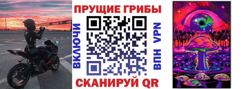 даркнет клад  что такое наркотик  Чернушка  Галлюциногенные грибы Magic Shrooms 