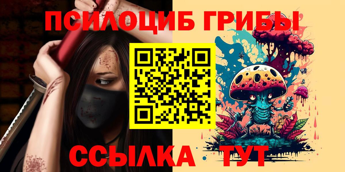 Псилоцибиновые грибы прущие грибы  Вход с VPN  Галлюциногенные грибы Psilocybe  Чернушка 