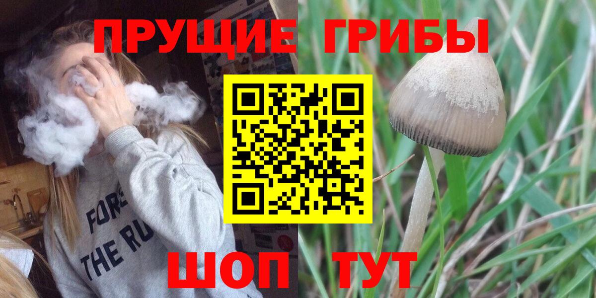 Галлюциногенные грибы прущие грибы Чернушка